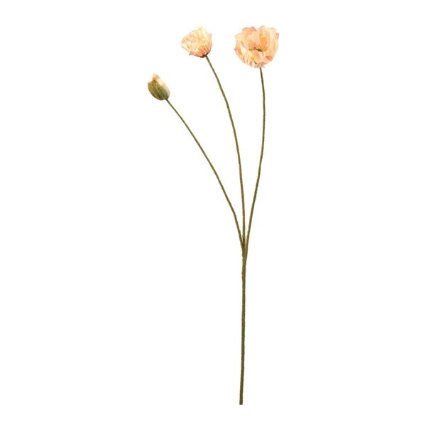 Valmue 75 cm peach