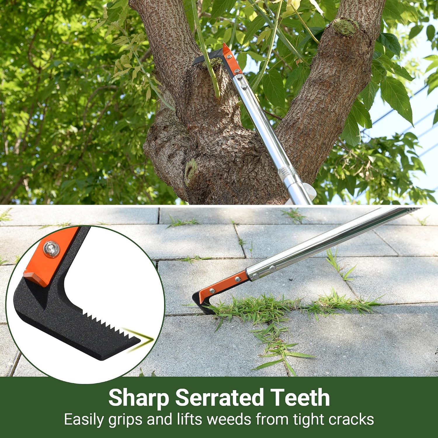 59in Crack Weeder with Spring Steel L-Shaped Serrated Teeth Blade