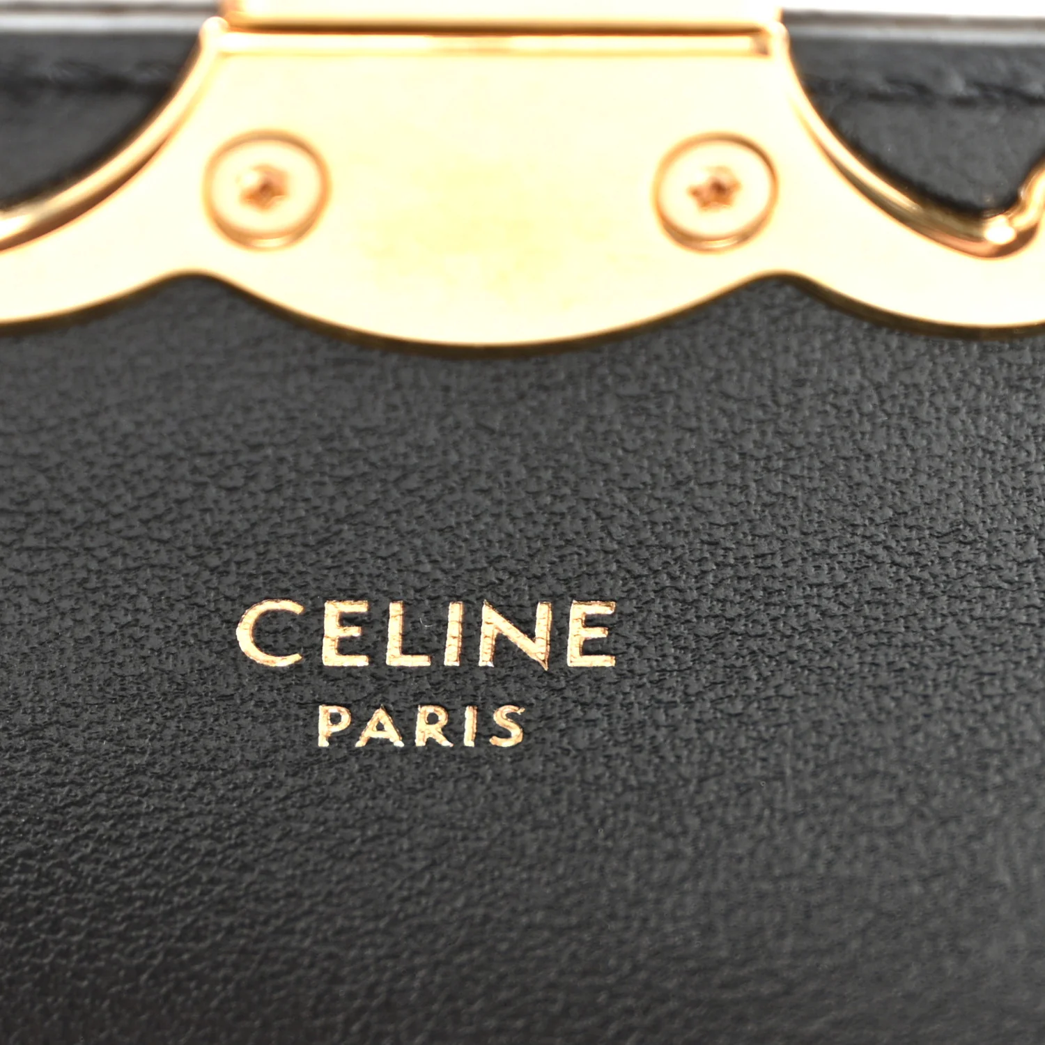 Shiny Calfskin Mini Triomphe Black