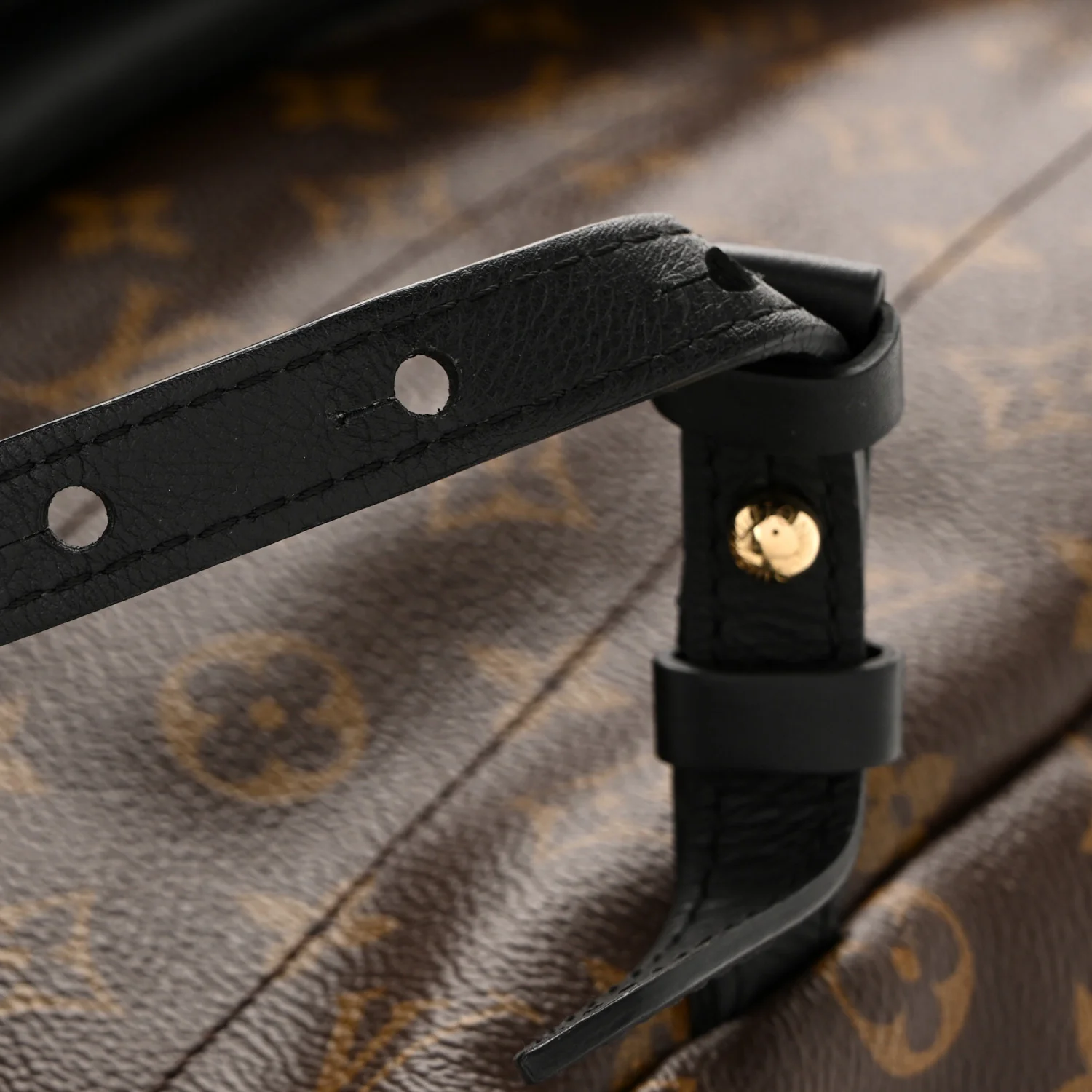 Monogram Palm Springs Backpack MM