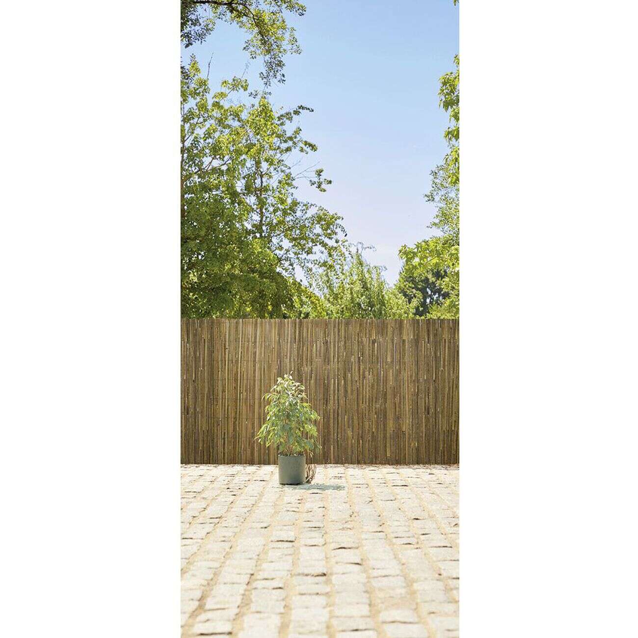 Canisse bambou fendu naturel L.500xH.100cm