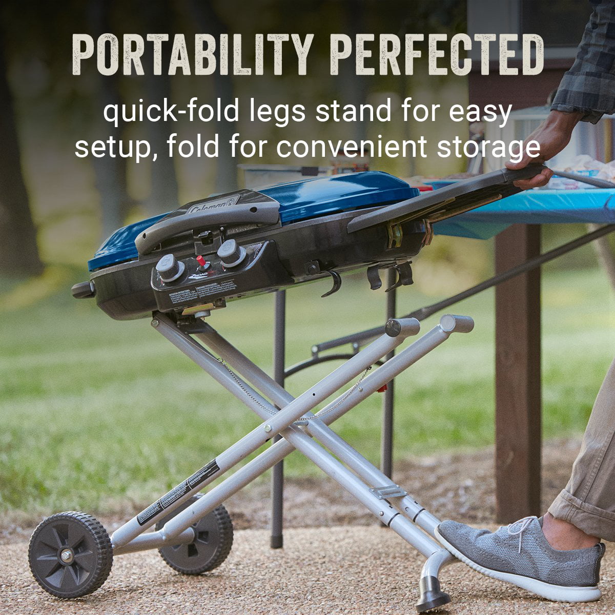 X-Cursion 2 Burner Propane Gas Portable Grill