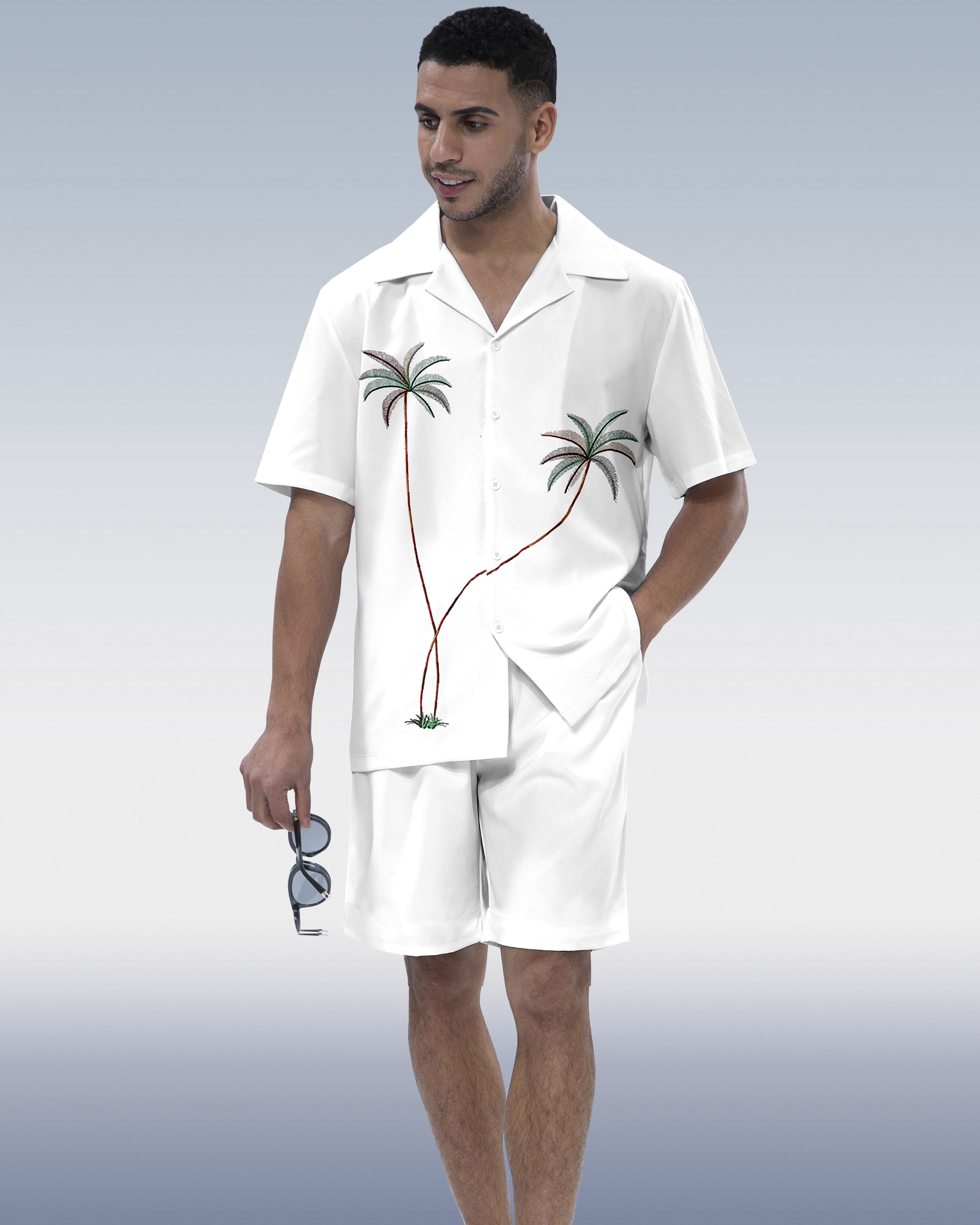 Ensemble de vacances hawaïennes pour hommes Suitmens à manches courtes 084