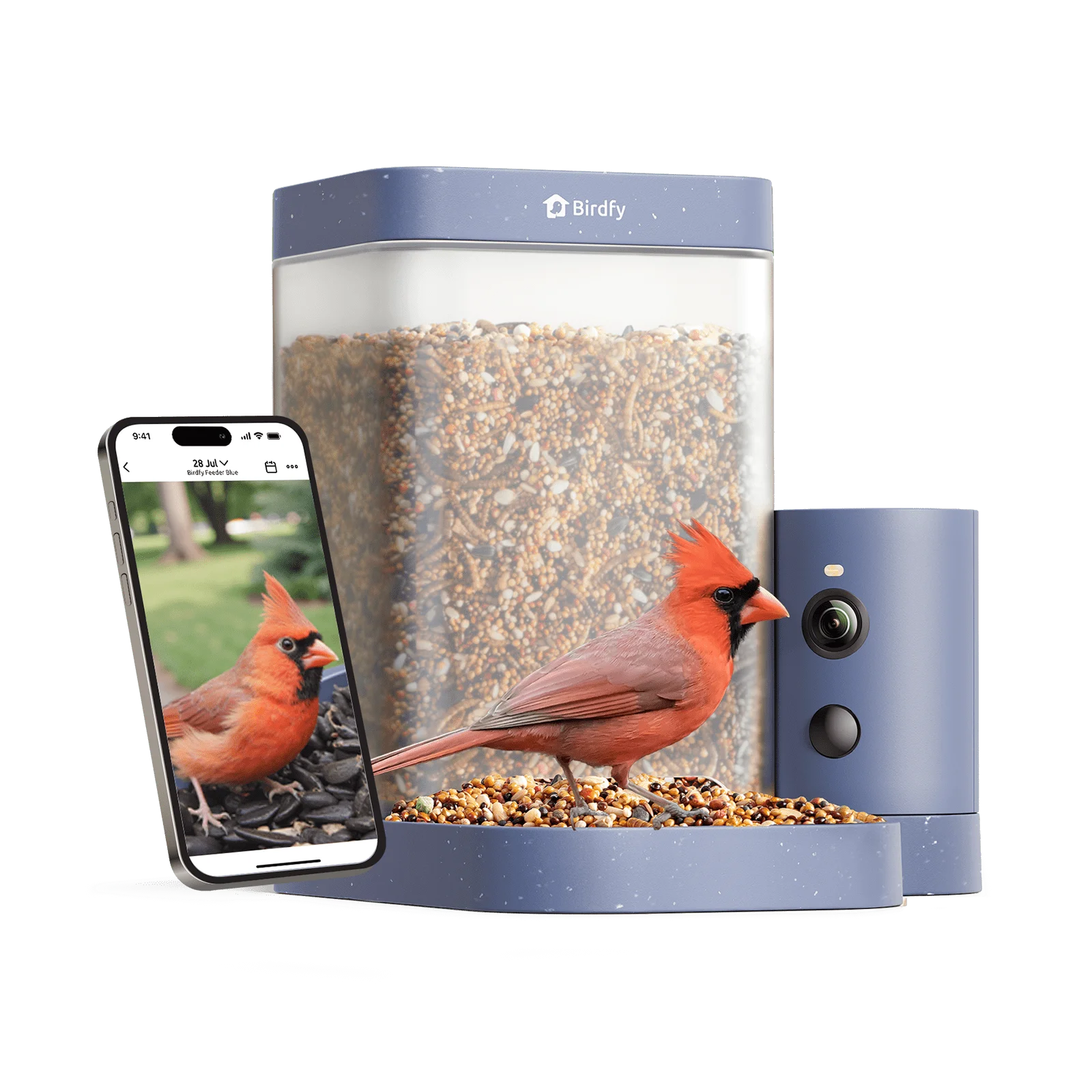 Smart Bird Feeder with Camera, 60FPS Smooth Video, AI Bird Identification Instant Alerts, Auto Capture, Perfect Gift for Bird Lovers(WMTNI-0152)