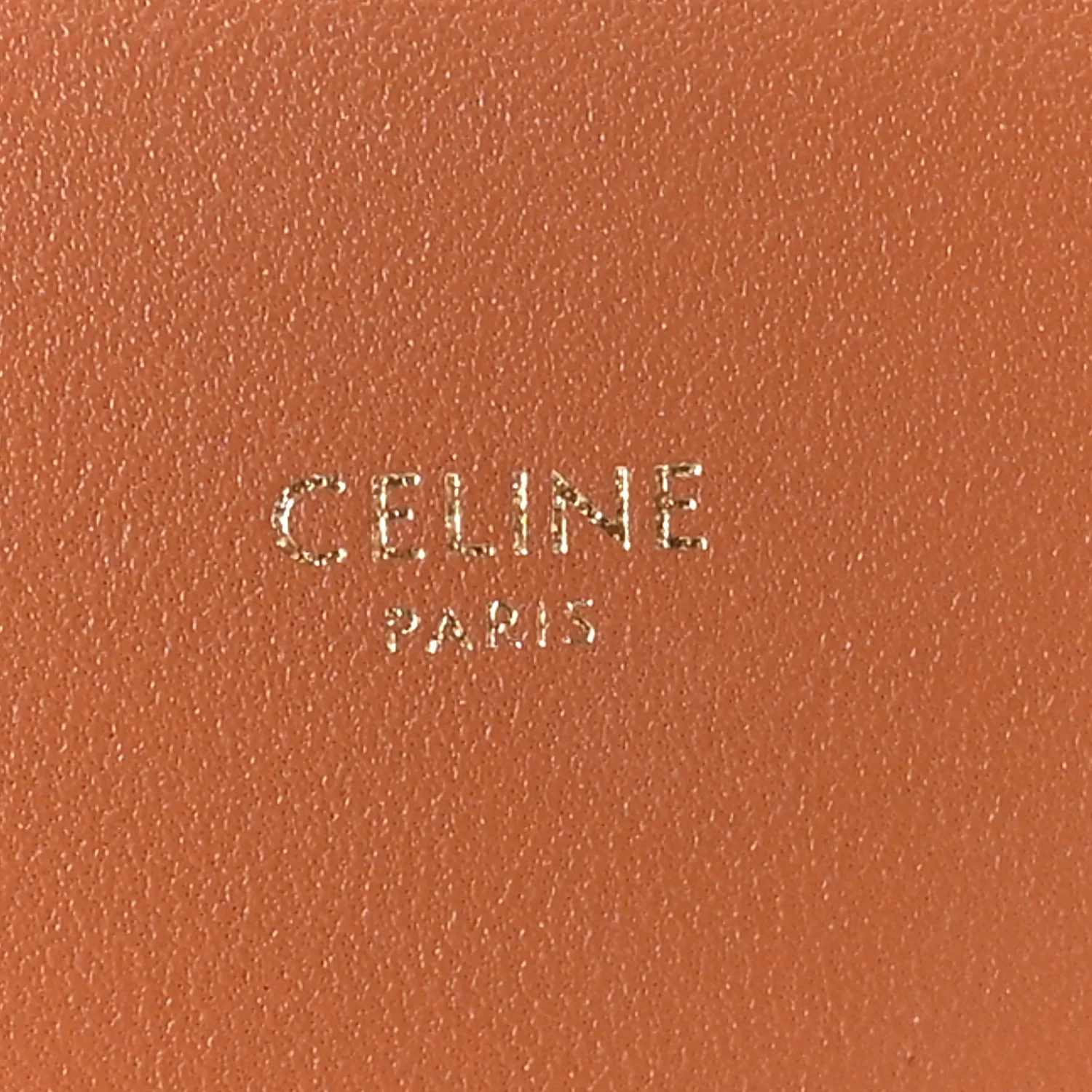 Triomphe Canvas Asymmetric Clutch Tan