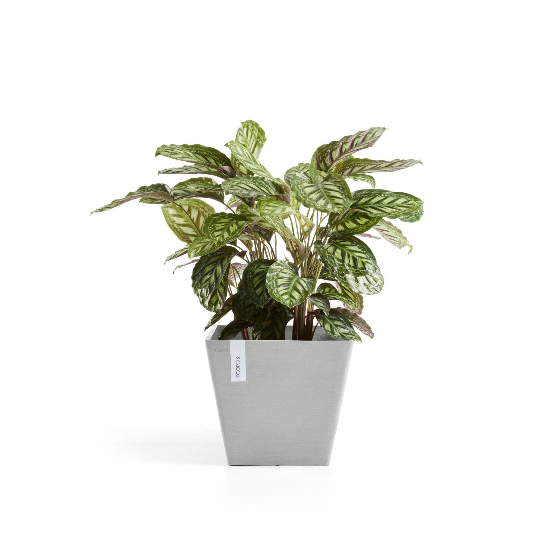Ecopots Rotterdam Durable Indoor/Outdoor Modern Recycled Plastic Square Planter Flower Pot, White Grey, 15.75 inch