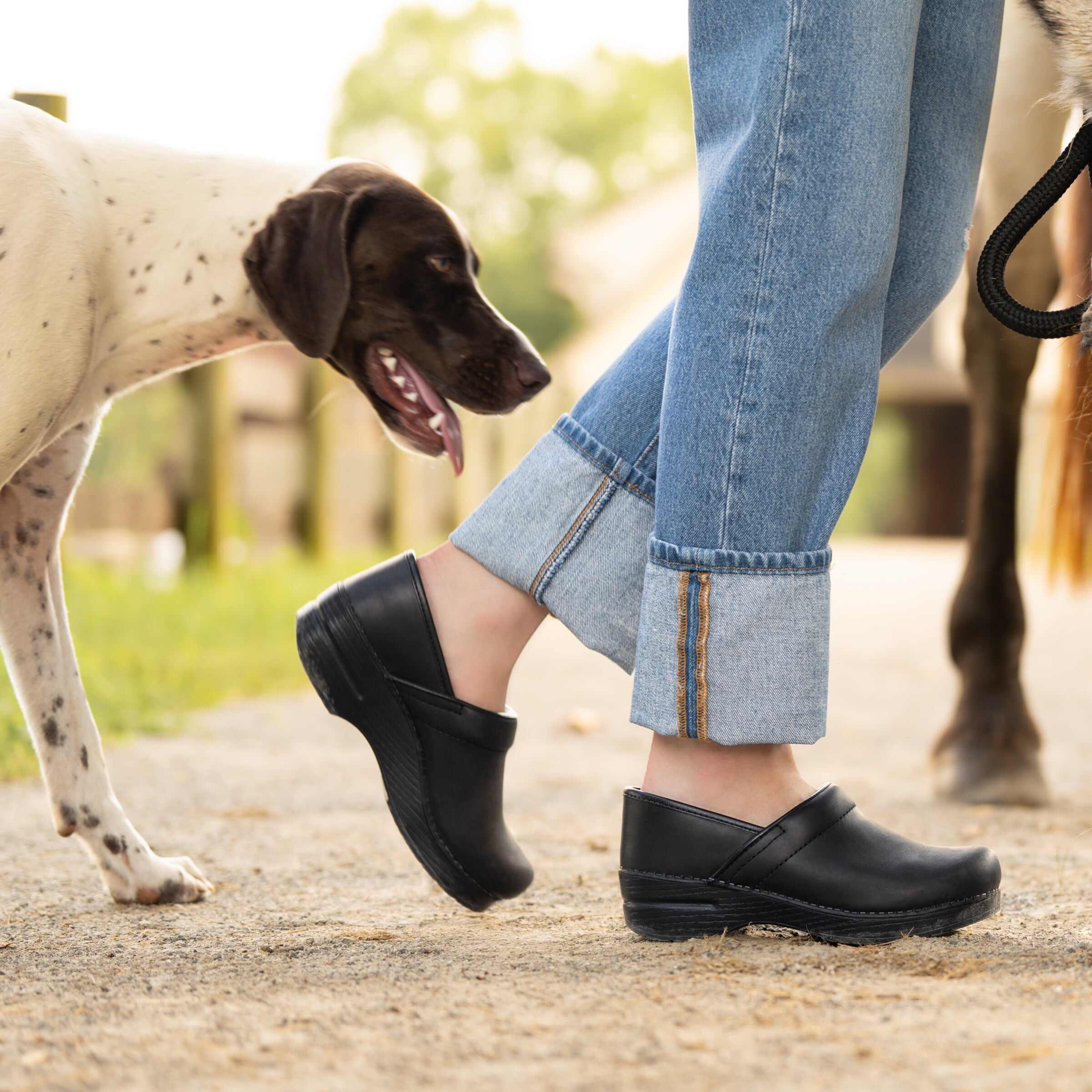 Professional - DANSKO OUTLET