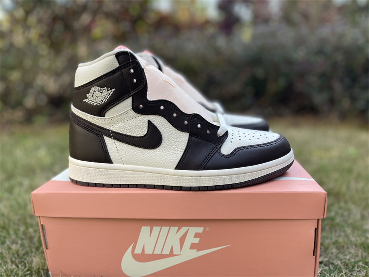 Jordan Air Jordan 1 High OGLight Madder Root