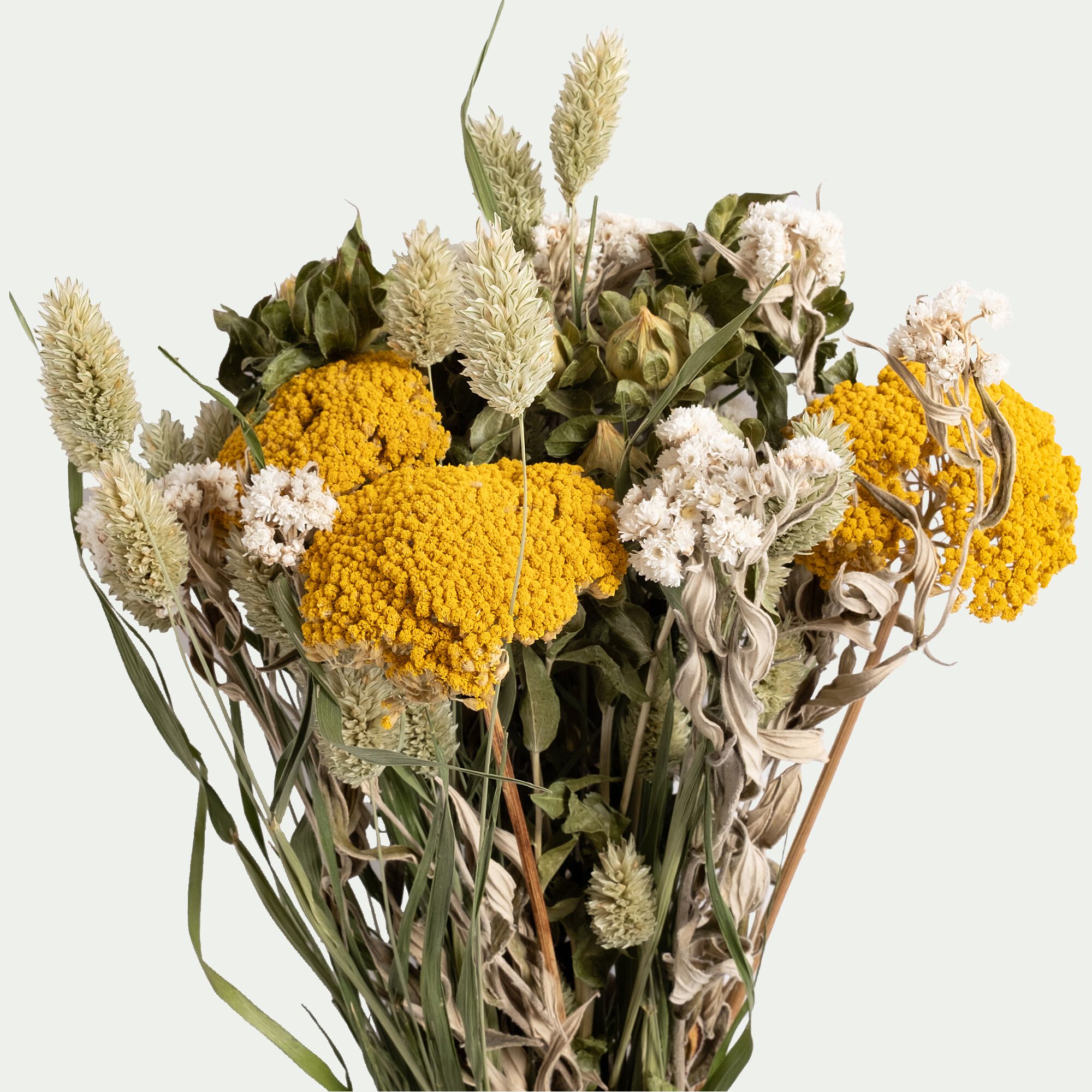 FLORALIE - Bouquet de fleurs séchés H55cm - jaune