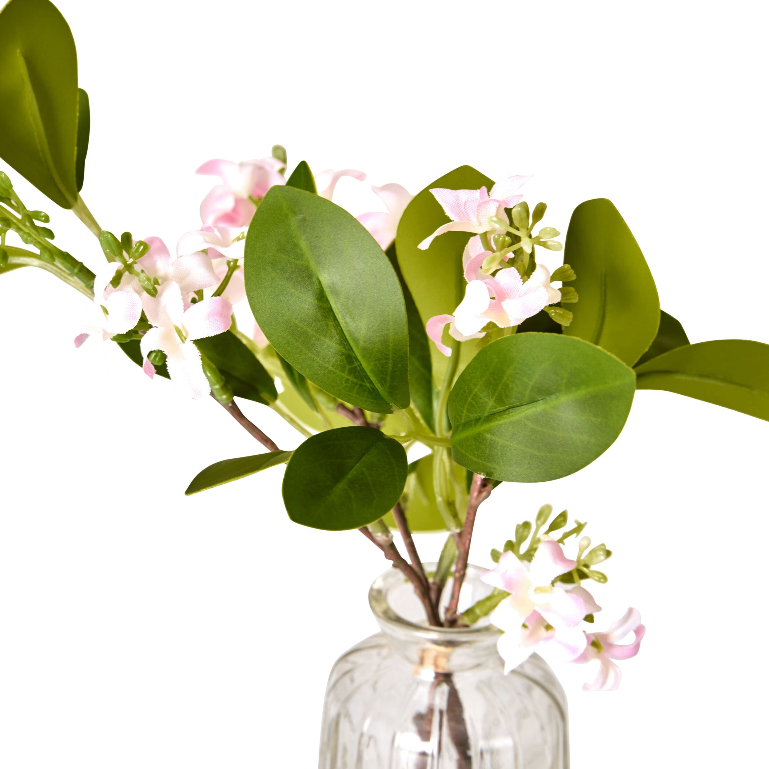 Floriana Jasmine Cutting Vase