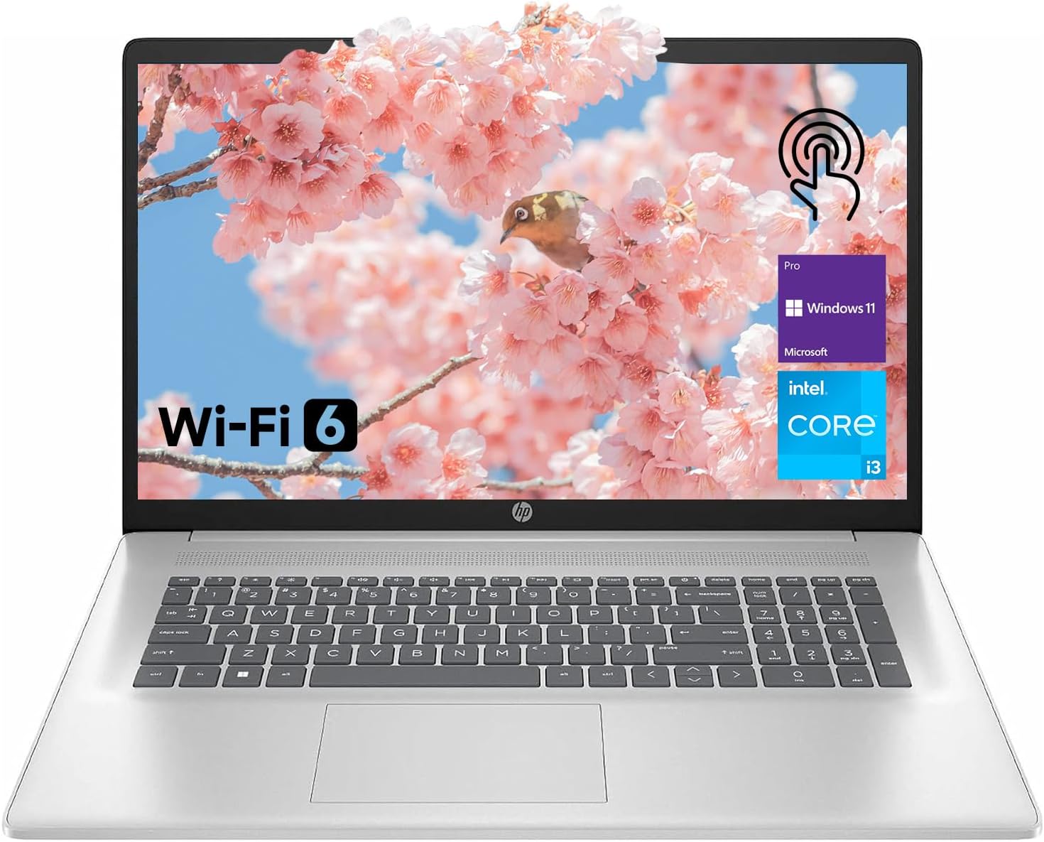 HP 17.3