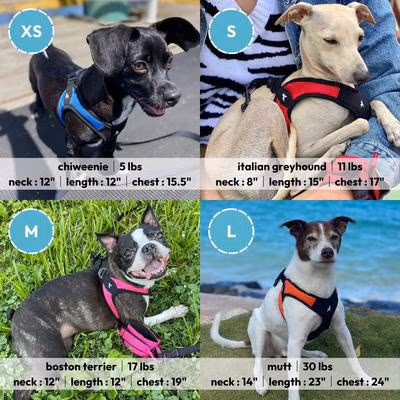 Gooby Escape Free Easy Fit Dog Harness-Blue