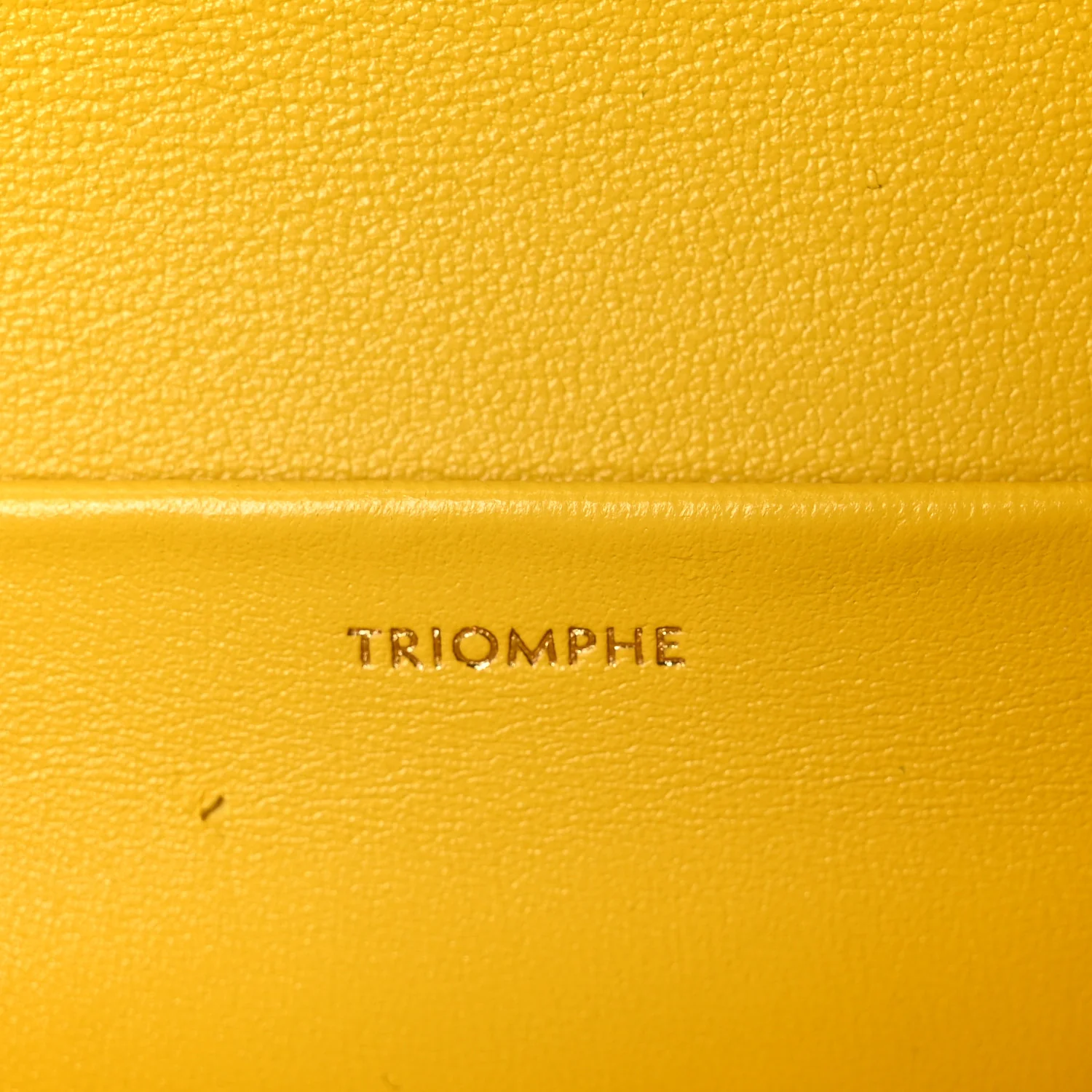 Fluffy Shearling Triomphe Claude Chain Shoulder Bag Yellow