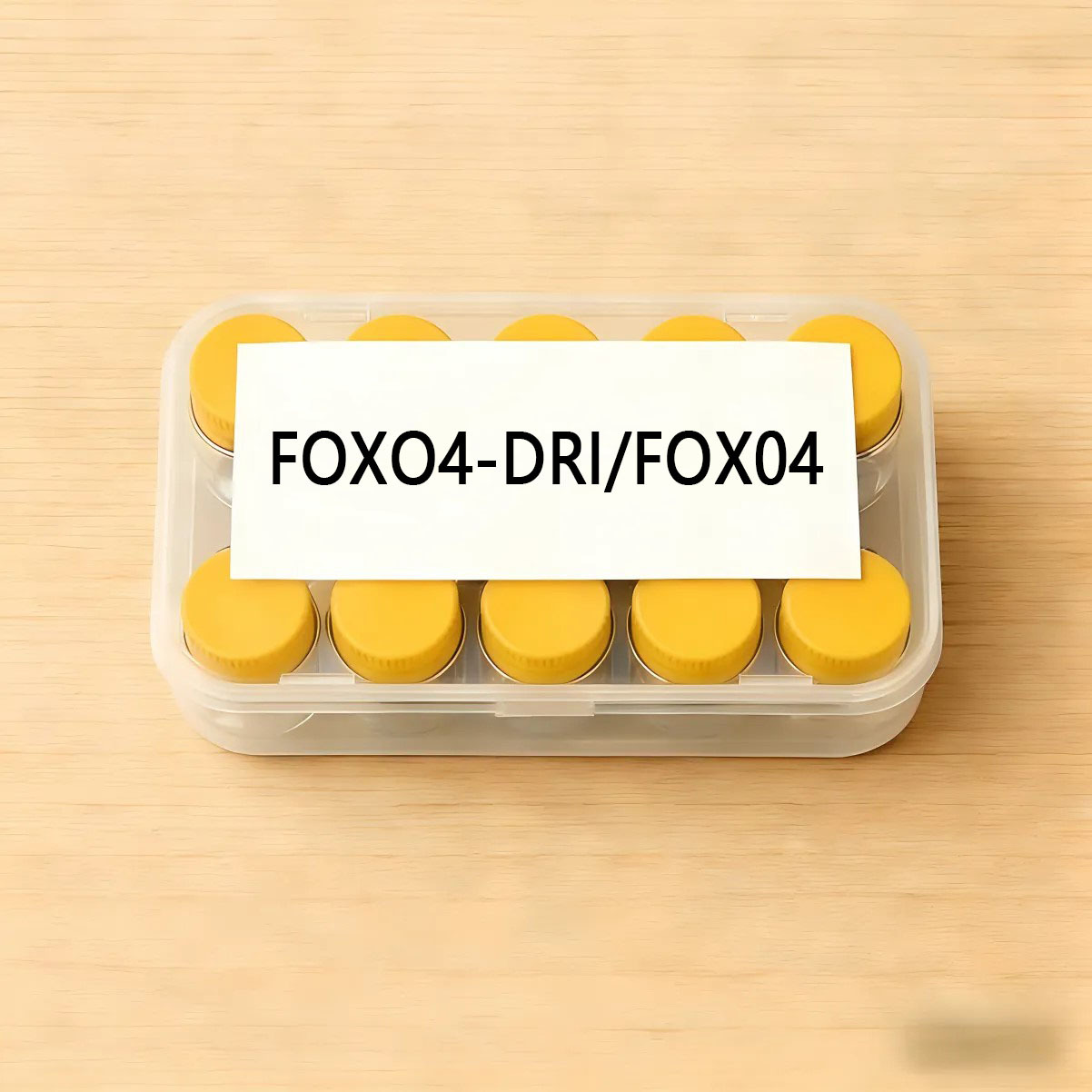 FOXO4-DRI/FOX04