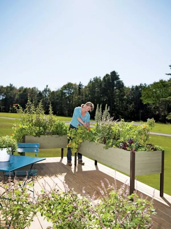 Jardinière surélevée Ankerfield à arrosage automatique et teintée écologiquement
