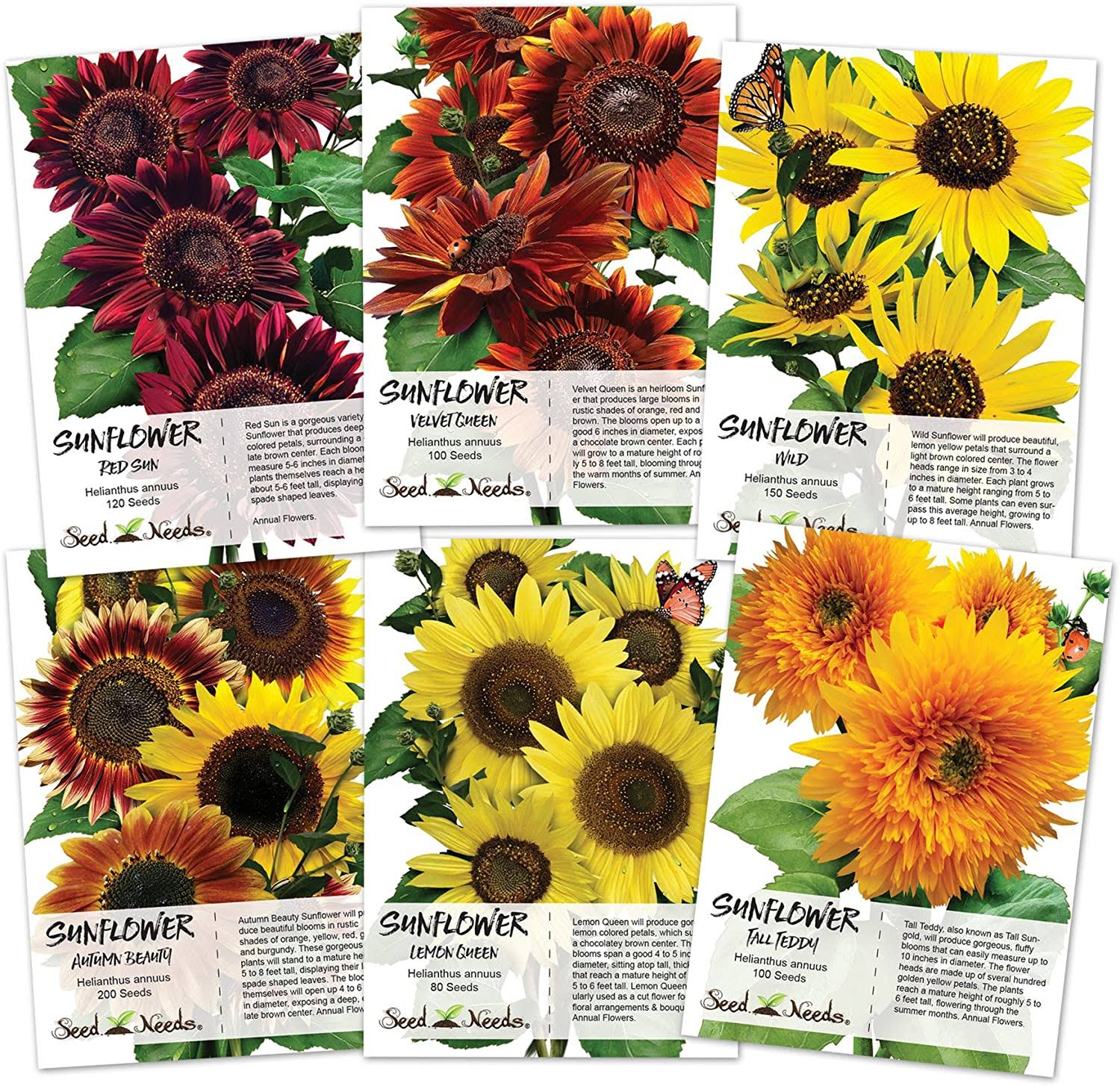 Crazy Sunflower Seed Packet Assortment (6 Individual Seed Packets)