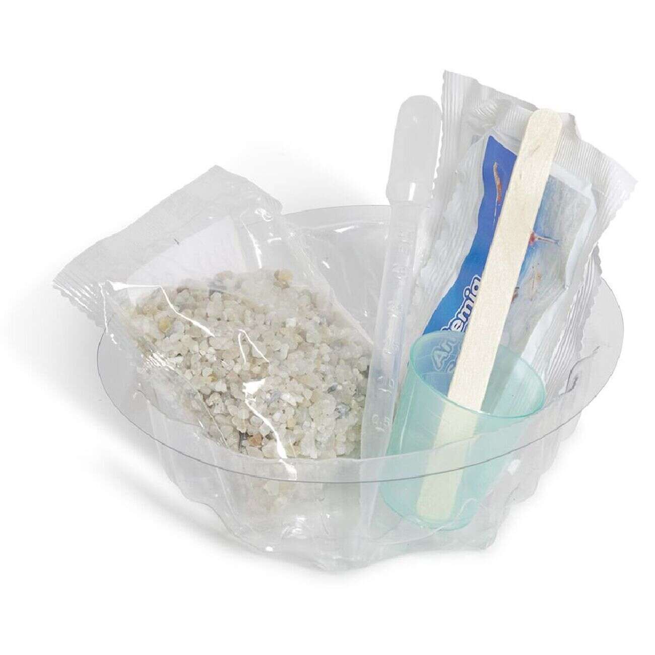 Jeu créatures aquatiques