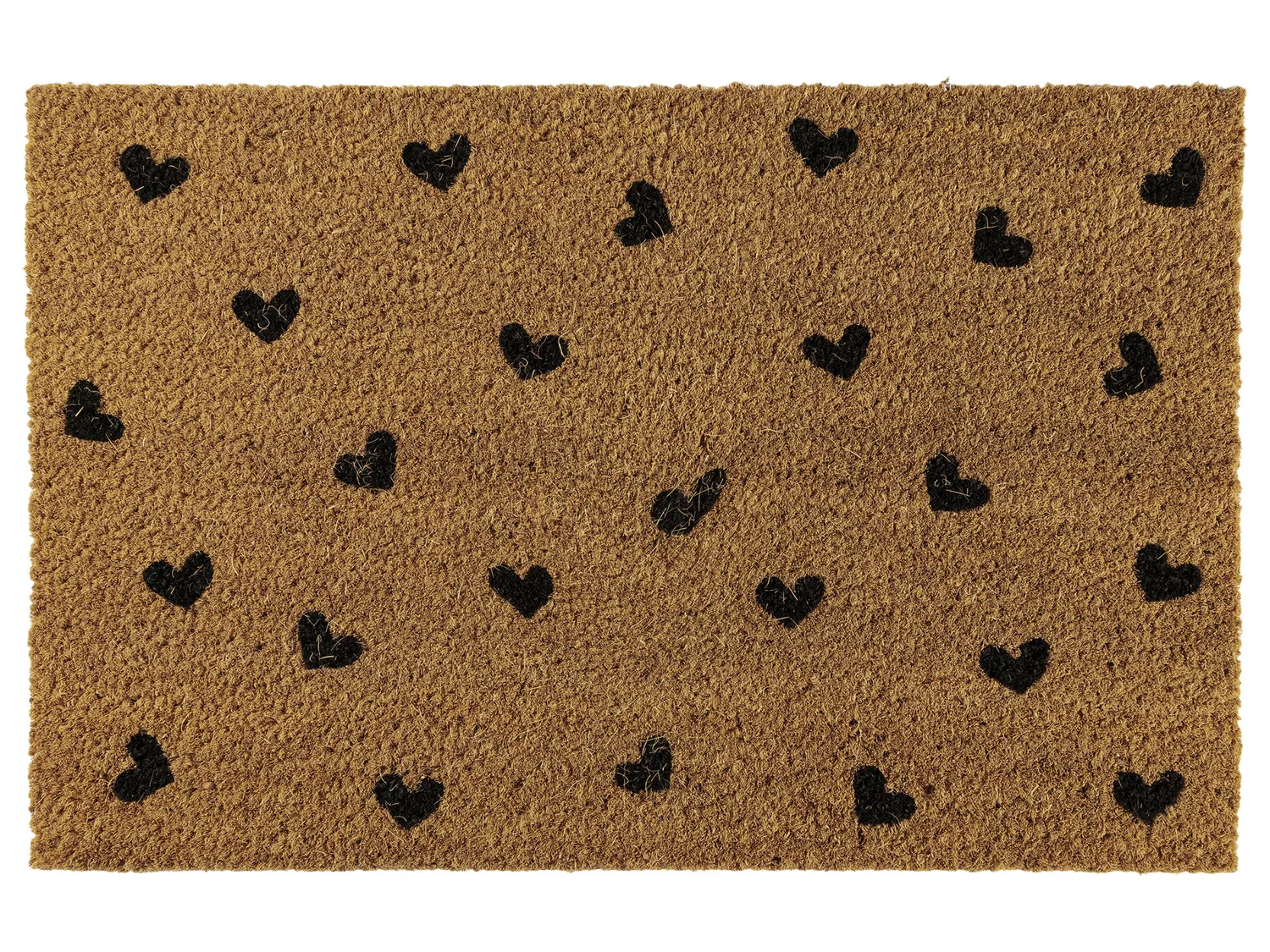 LIVARNO home Paillasson en coco, 40 x 60 cm