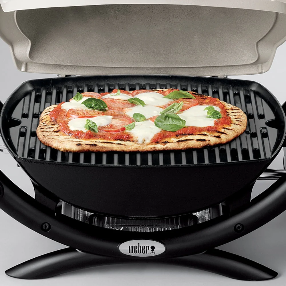 Q 1000 1-Burner Portable Gas Grill, Titanium