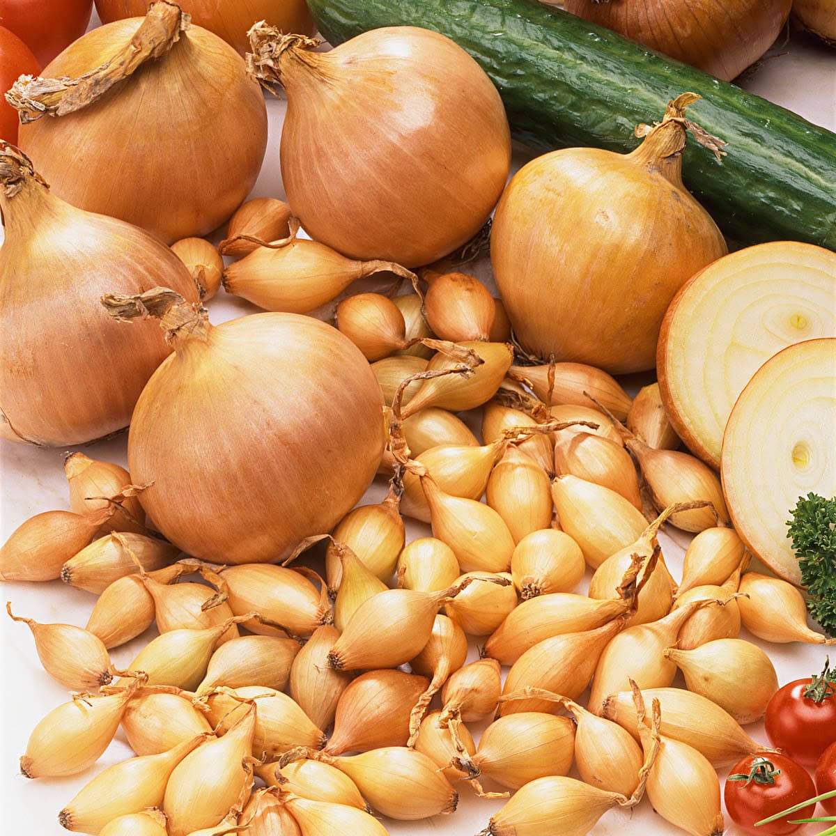 Gurney's Sturon Onion Sets (80 Bulbs per Package)