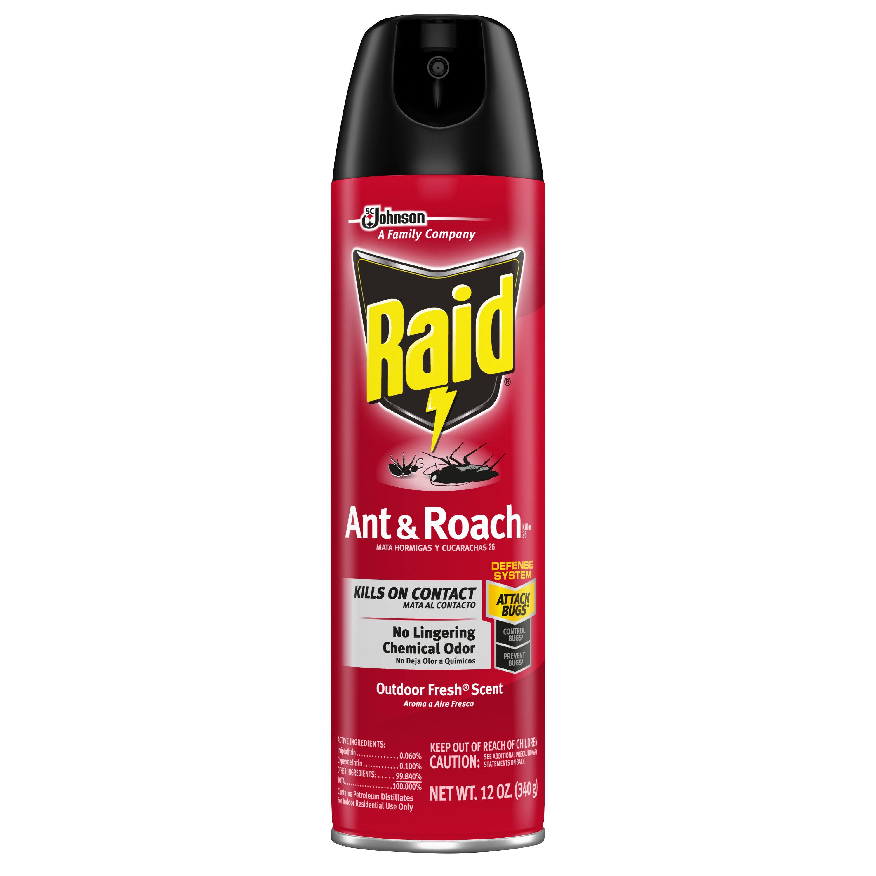 Raid Ant & Roach Killer Outdoor Fresh Scent 12 oz
