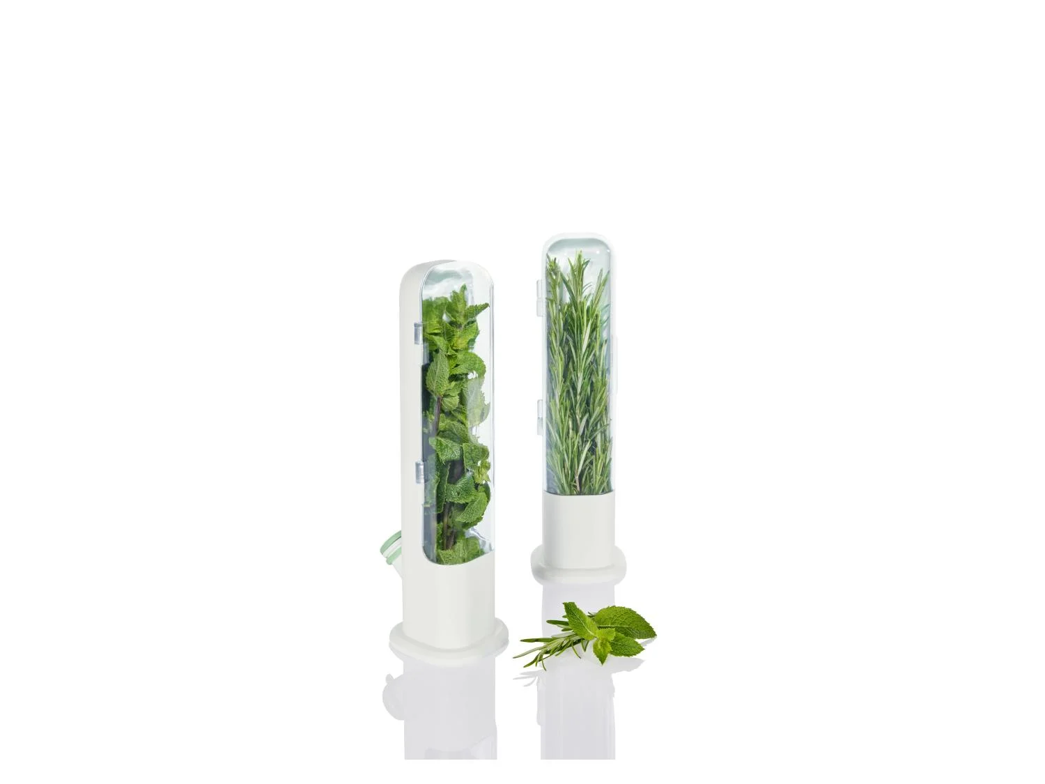 LIVARNO home Bote(s) fracheur pour herbes aromatiques