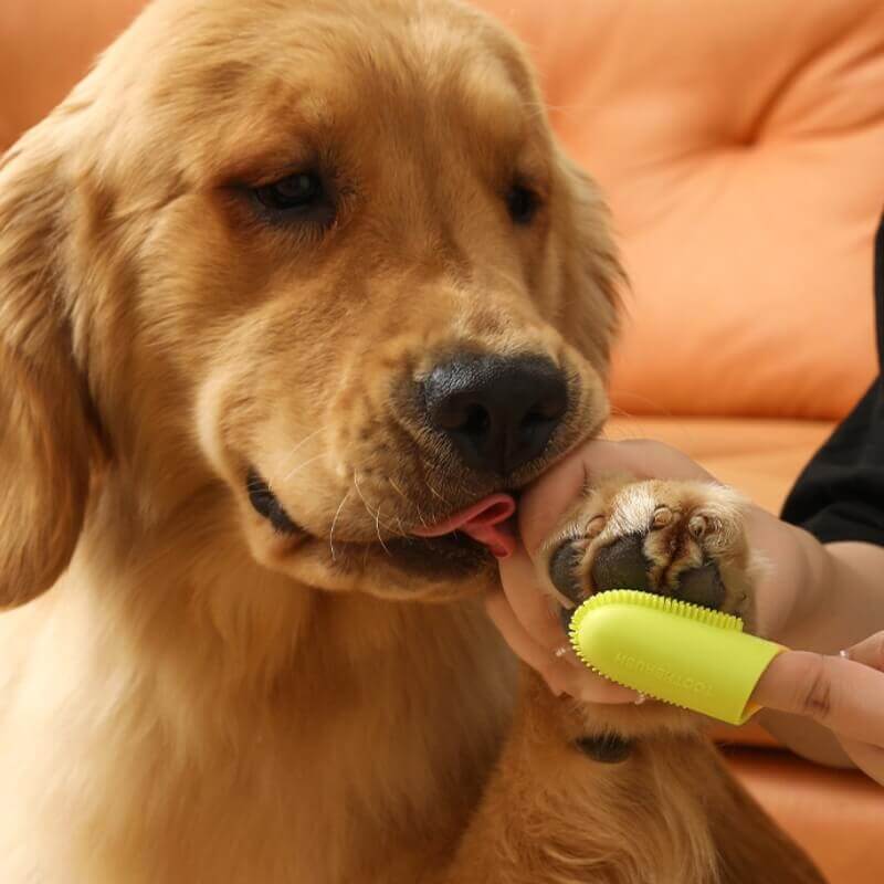 Pet Toothbrush Finger Toothbrush