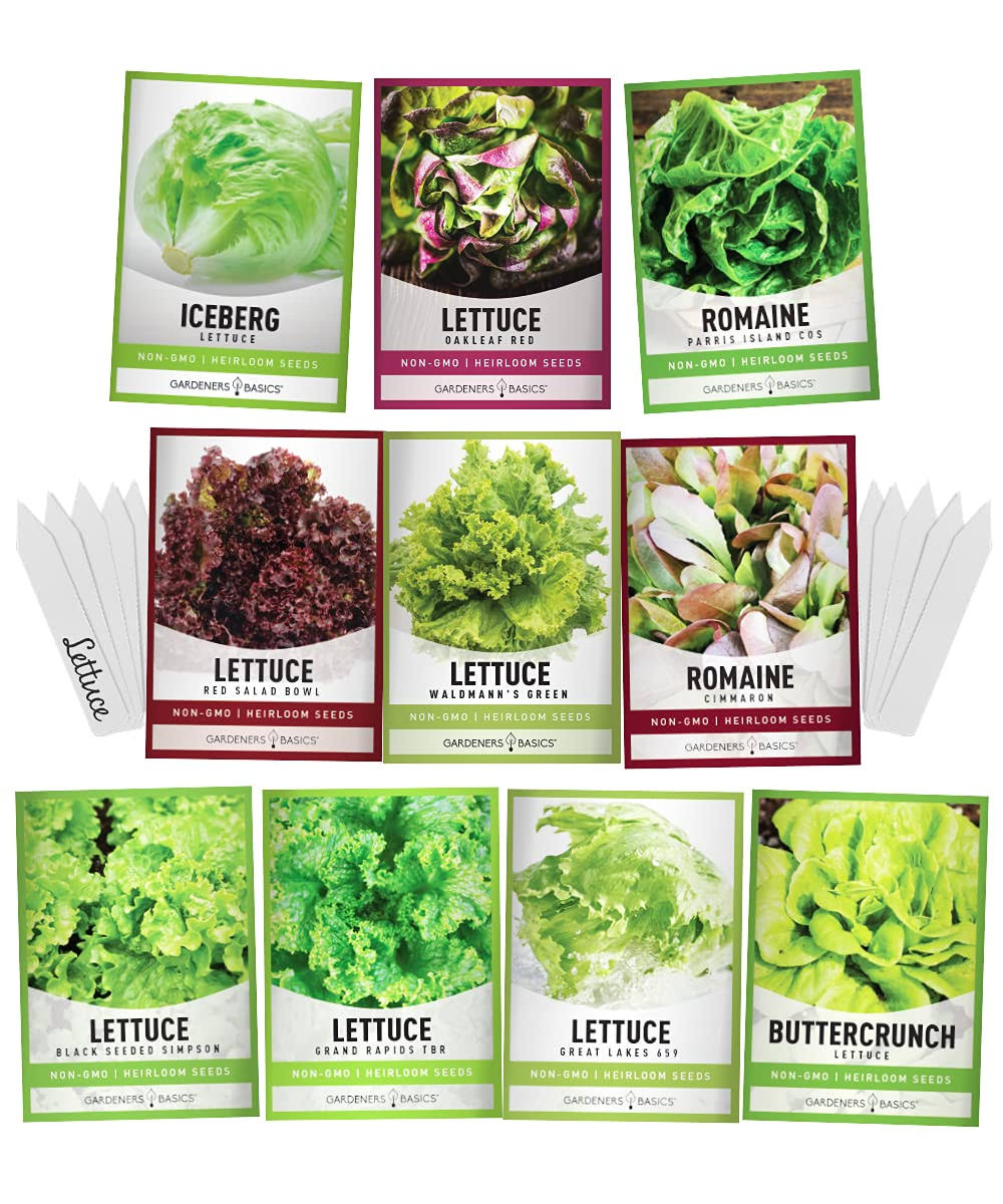 Salad Greens Lettuce Seeds Heirloom Vegetable Seed 23,000 Seeds for Planting Indoors and Outdoor 10 Packs - Buttercrunch, Romaine, Iceberg, and More