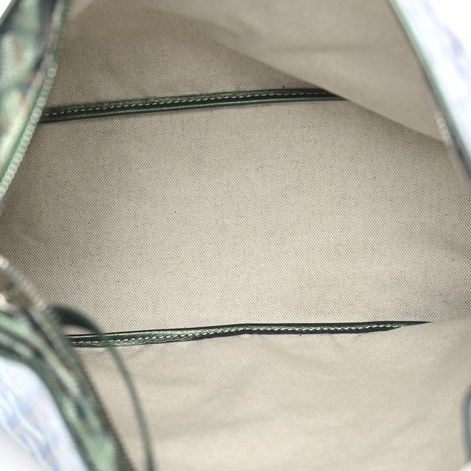 Iridescent Goyardine Boheme Hobo Pearly Green