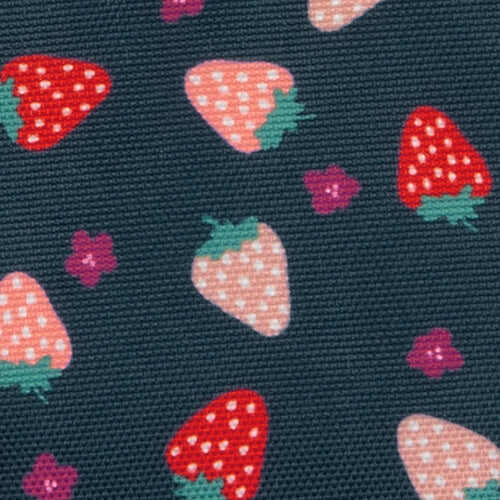 Pochette latérale Plougastel