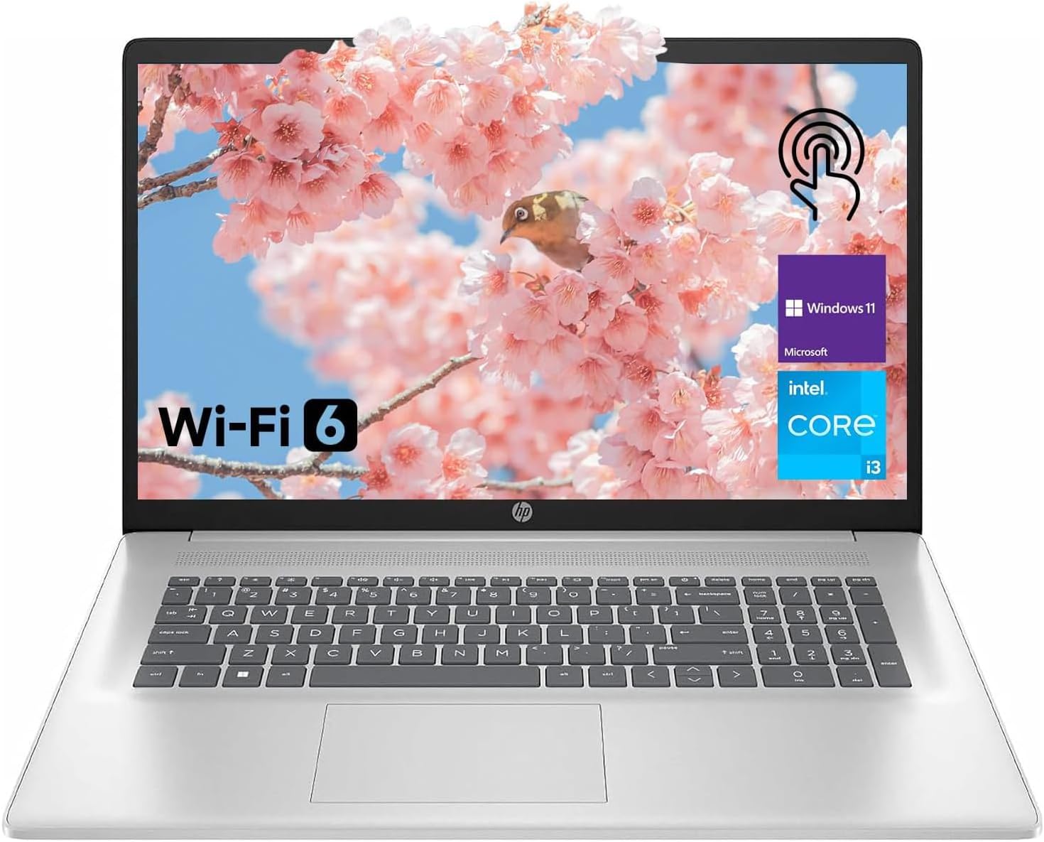 HP 17.3