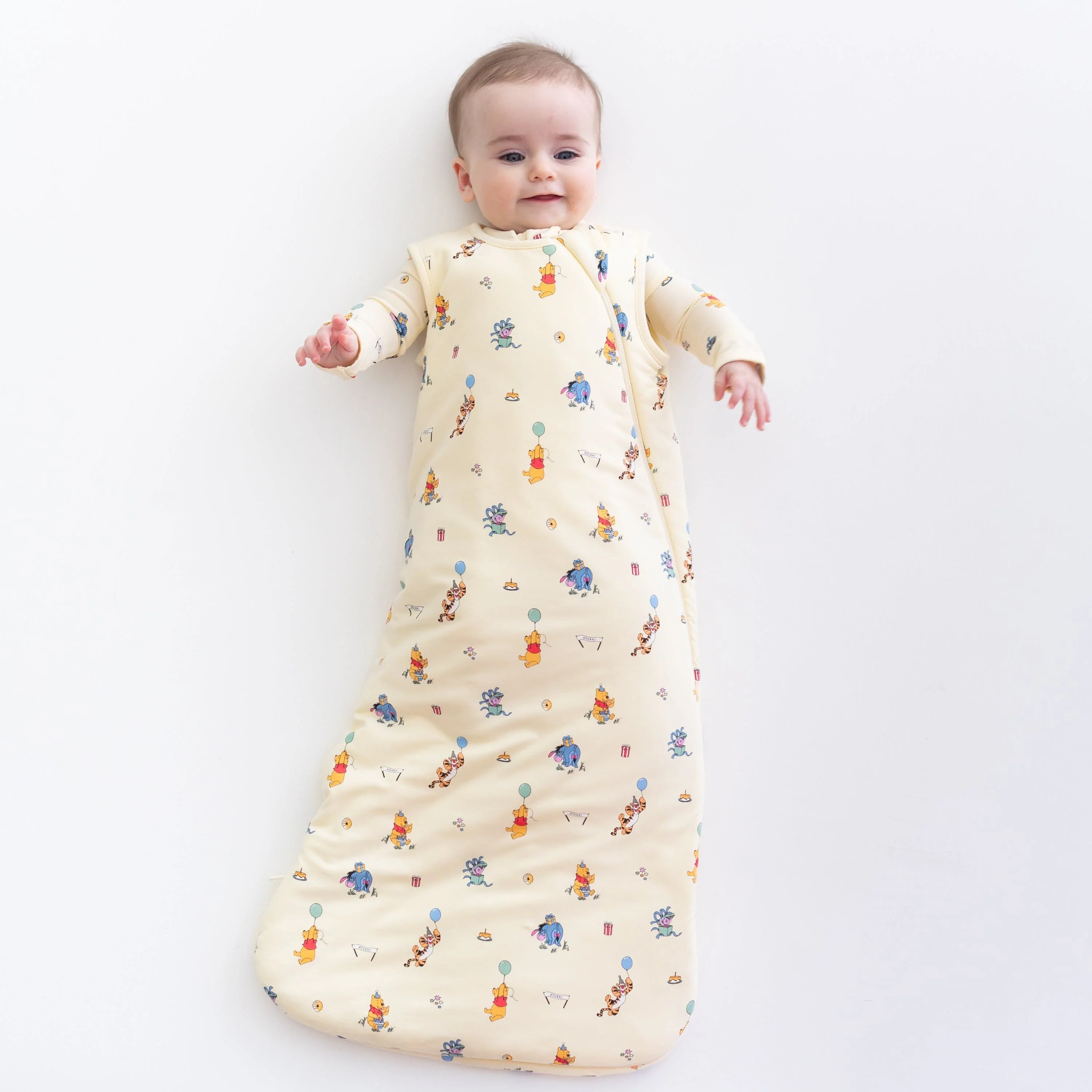 Sleep Bag in Winnie the Pooh Celebration 1.0
