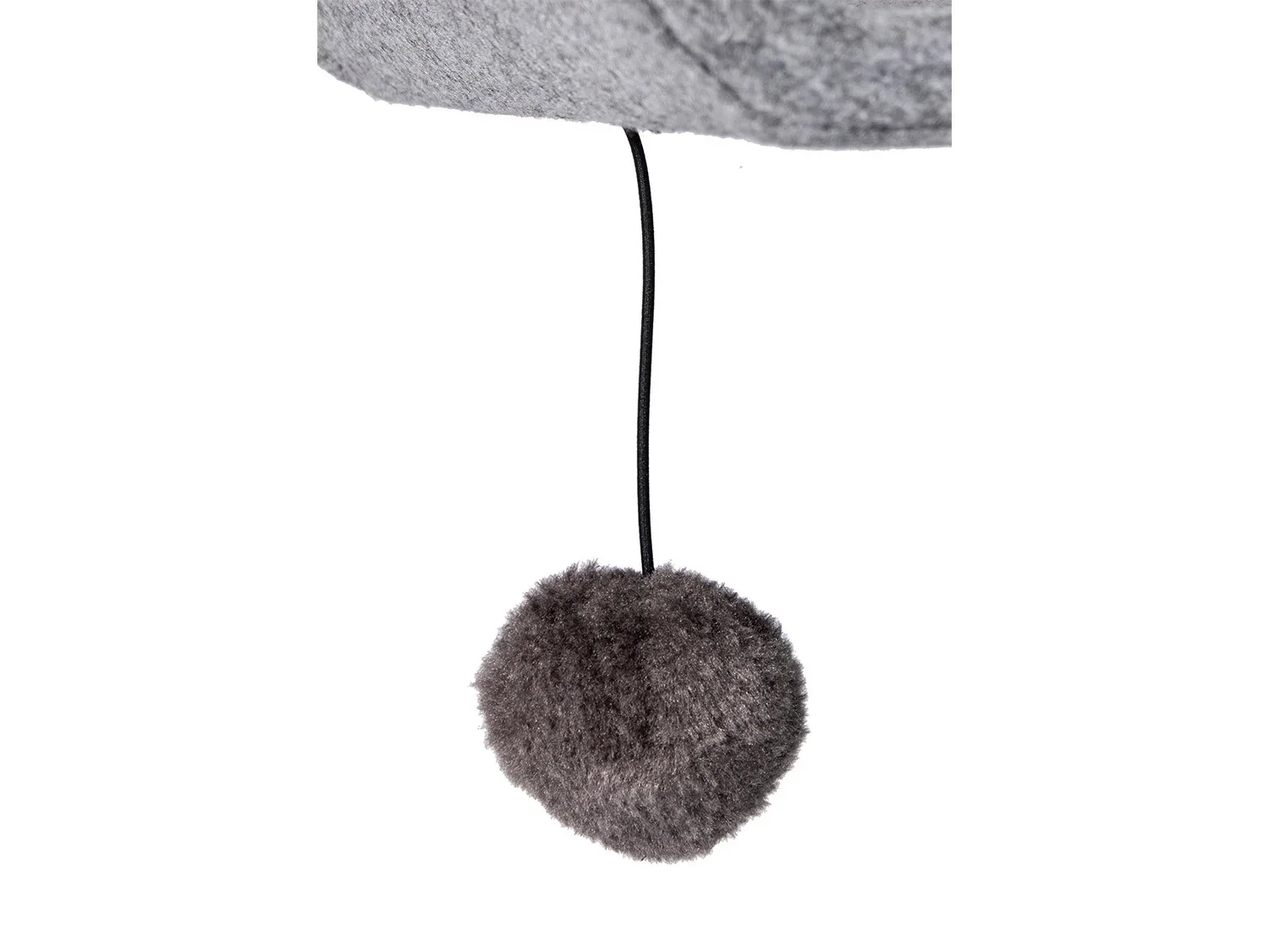 Karlie Arbre  chat, gris