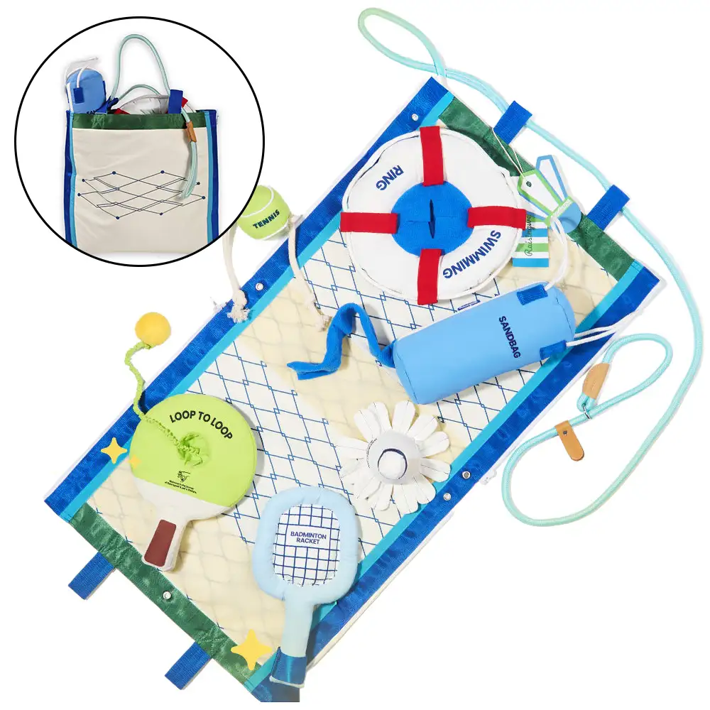 Beach Fun Series Ball Interactive Dog Toys