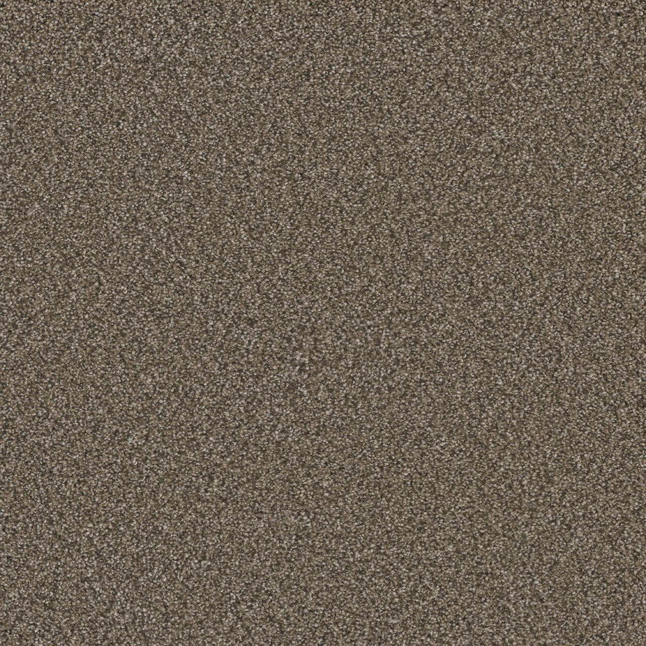 Durango Delight III Basin Creek Brown 54-oz sq yard Solution-dyed polyester Textured Indoor Carpet