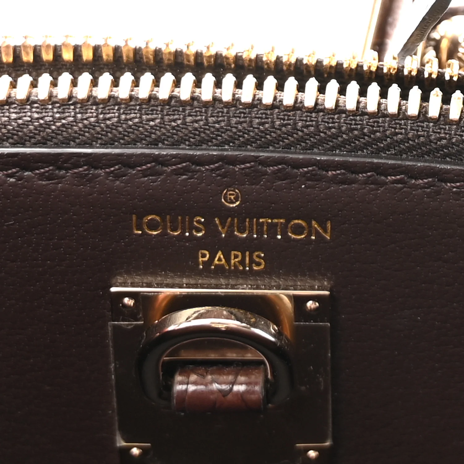 Snakeskin Monogram City Steamer Mini Brown