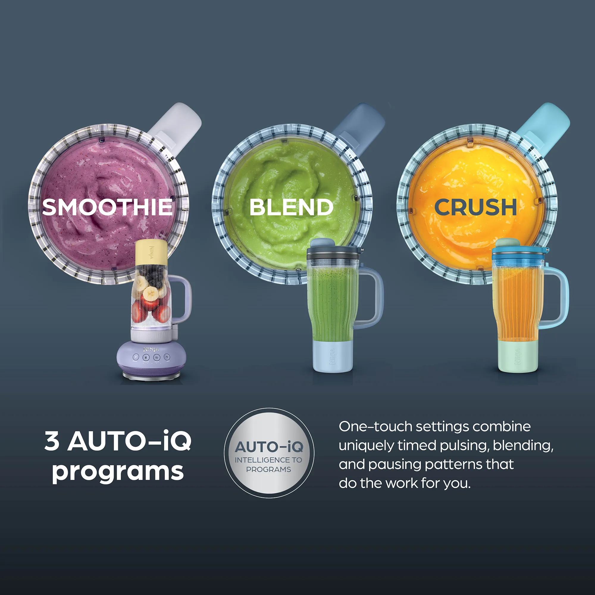 Ninja BlendBOSS Tumbler Blender