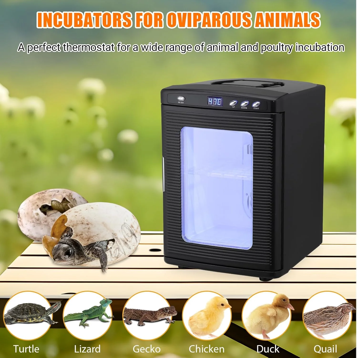Garvee 25 L Reptile Incubator for Hatching Eggs - Portable Scientific Laboratory Incubator, Temperature Controlled 10� - - 60� - for Small Reptiles, Cooling and Heating Digital Incubator, 12V/110V Black