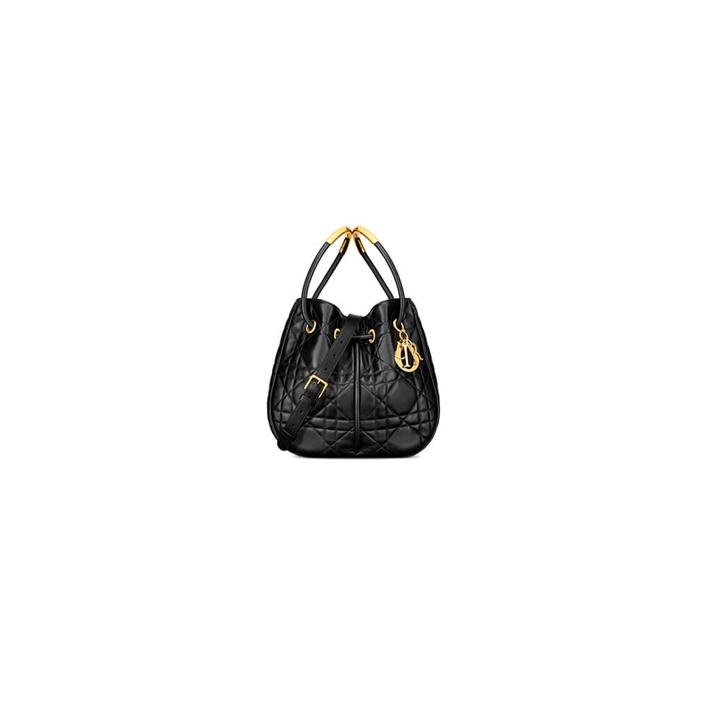 Medium Dior Nolita Bag