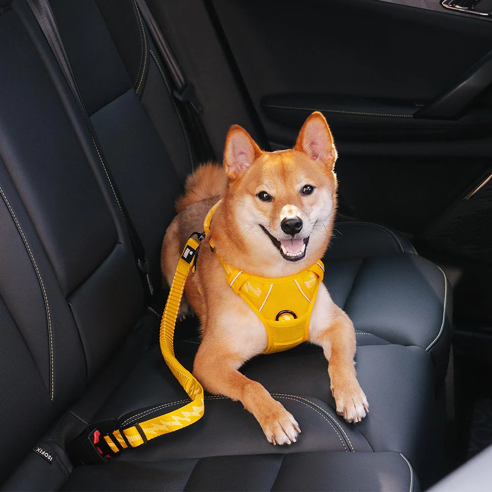 Car Seat Belt Buffer Adjustable Cool Dog Accessories