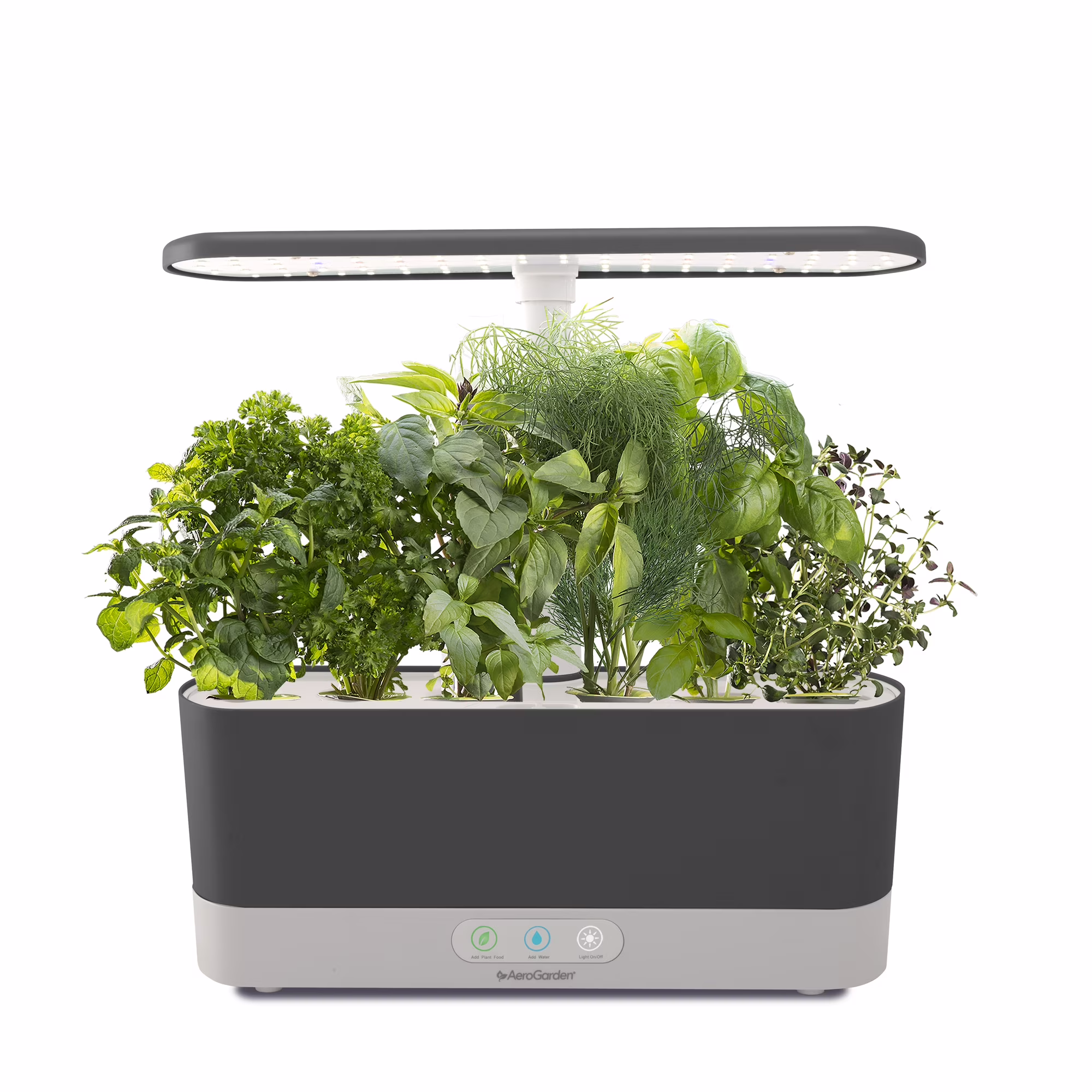 AeroGarden Harvest Slim with Gourmet Herb Seed Pod Kit, Black