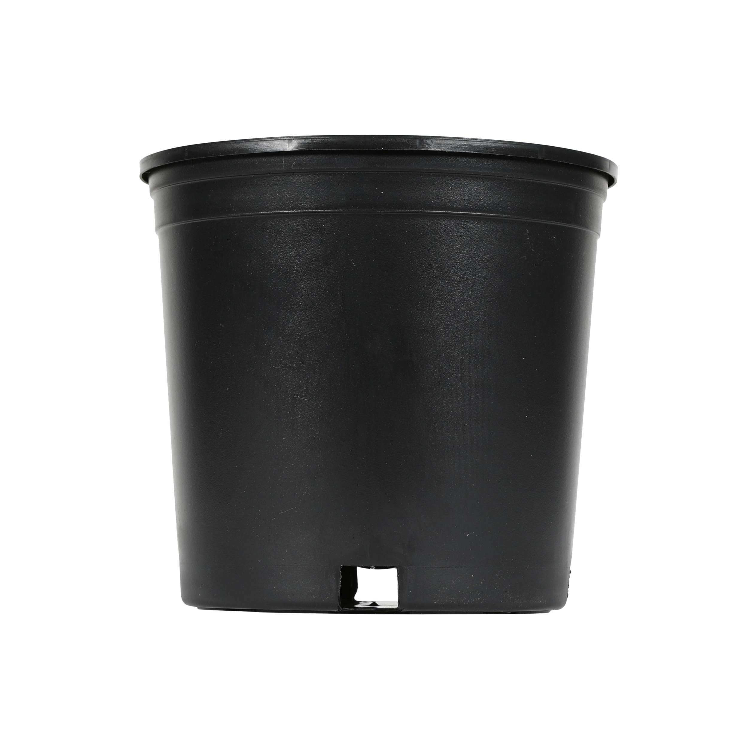 Style Selections 8.8-in W x 8.25-in H Black Plastic Nursery Planter