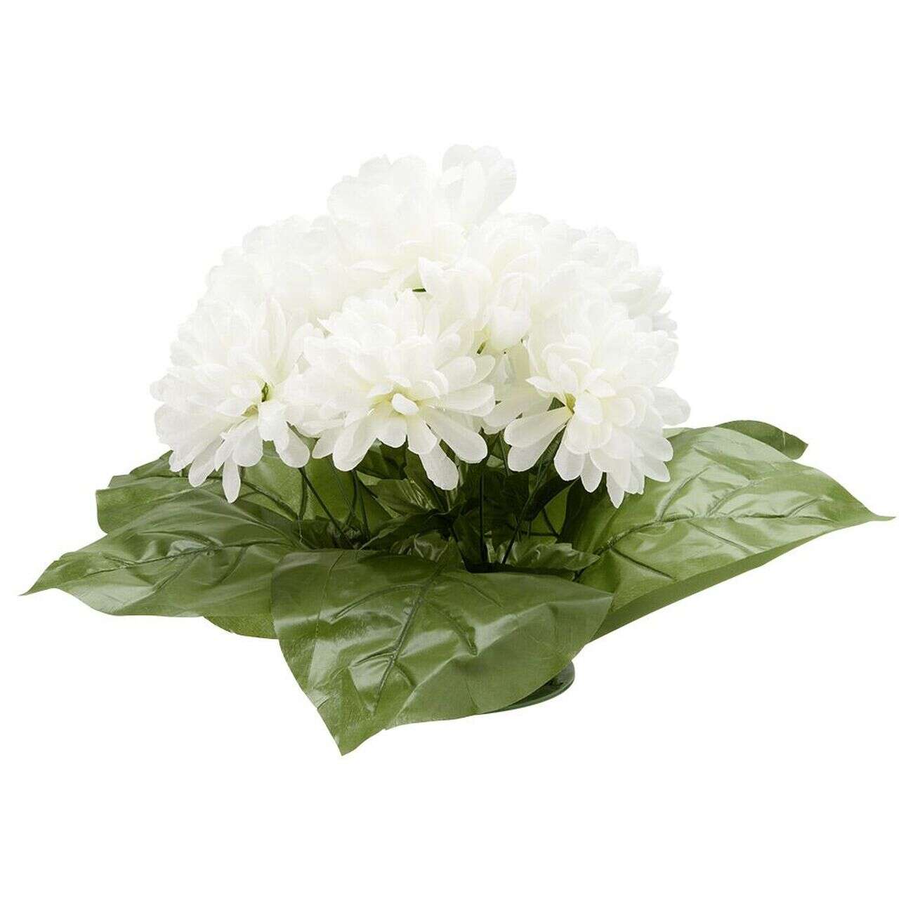 Coussin chrysanthème artificiel 15 têtes blanc