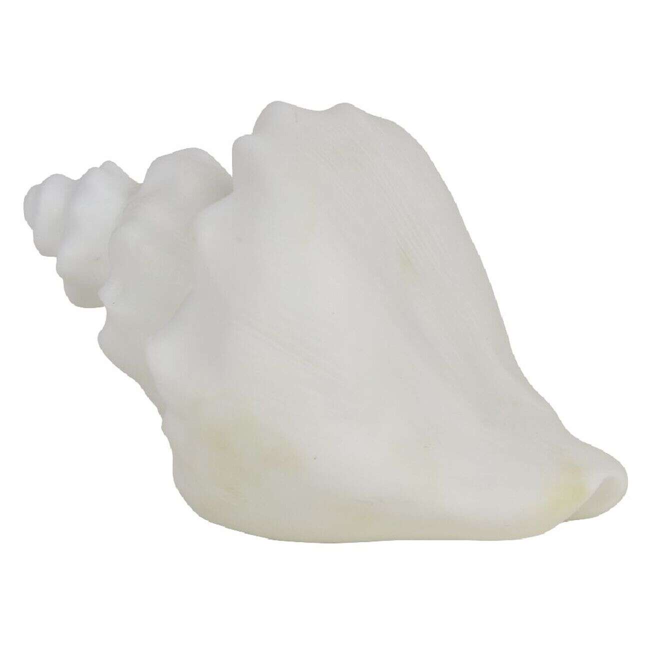 Veilleuse LED coquillage blanc