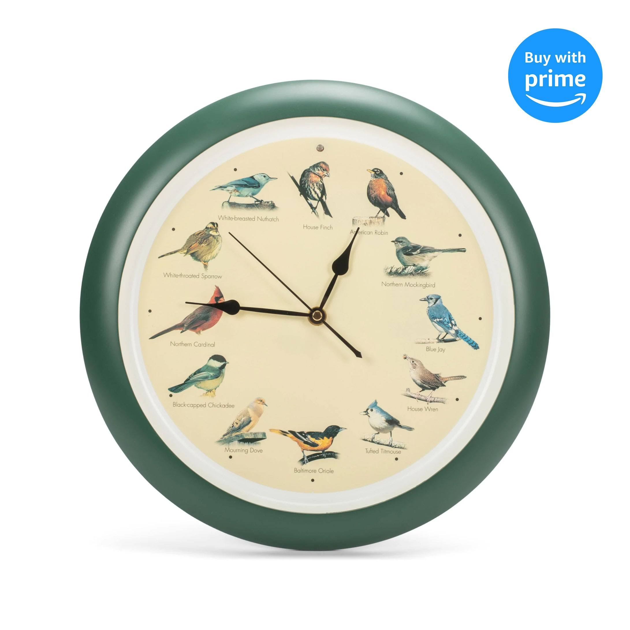 Mark Feldstein and Associates Original Singing Bird Wall Clock, 13 inch, Green