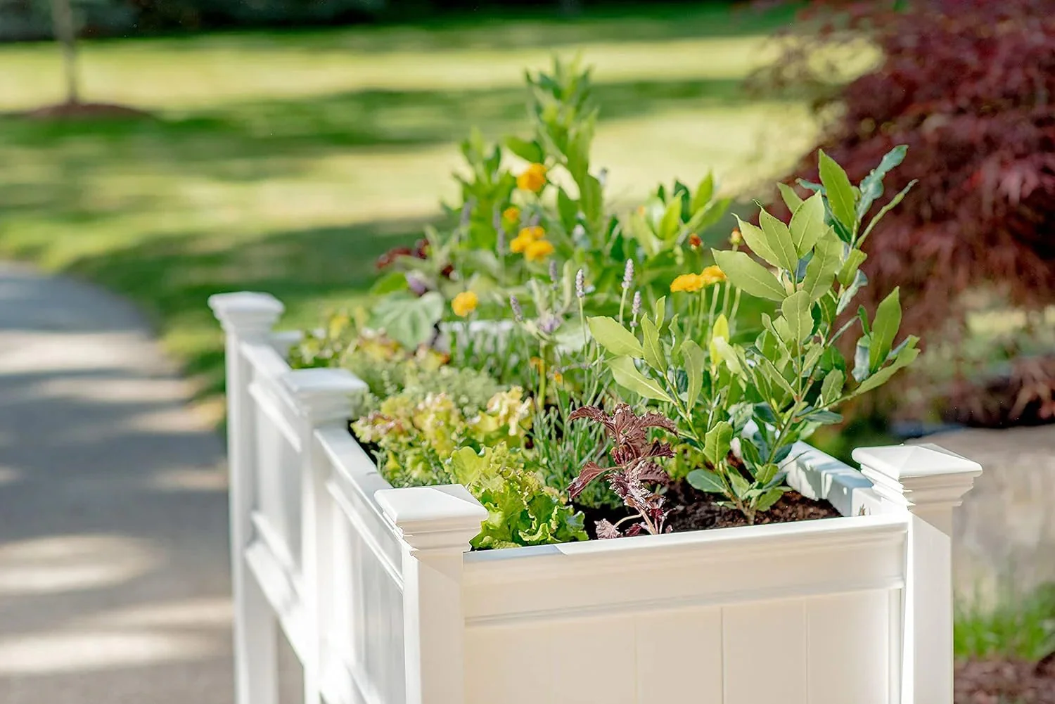 Cambridge 68 5W X 24L Vinyl Raised Planter with Extension Kit