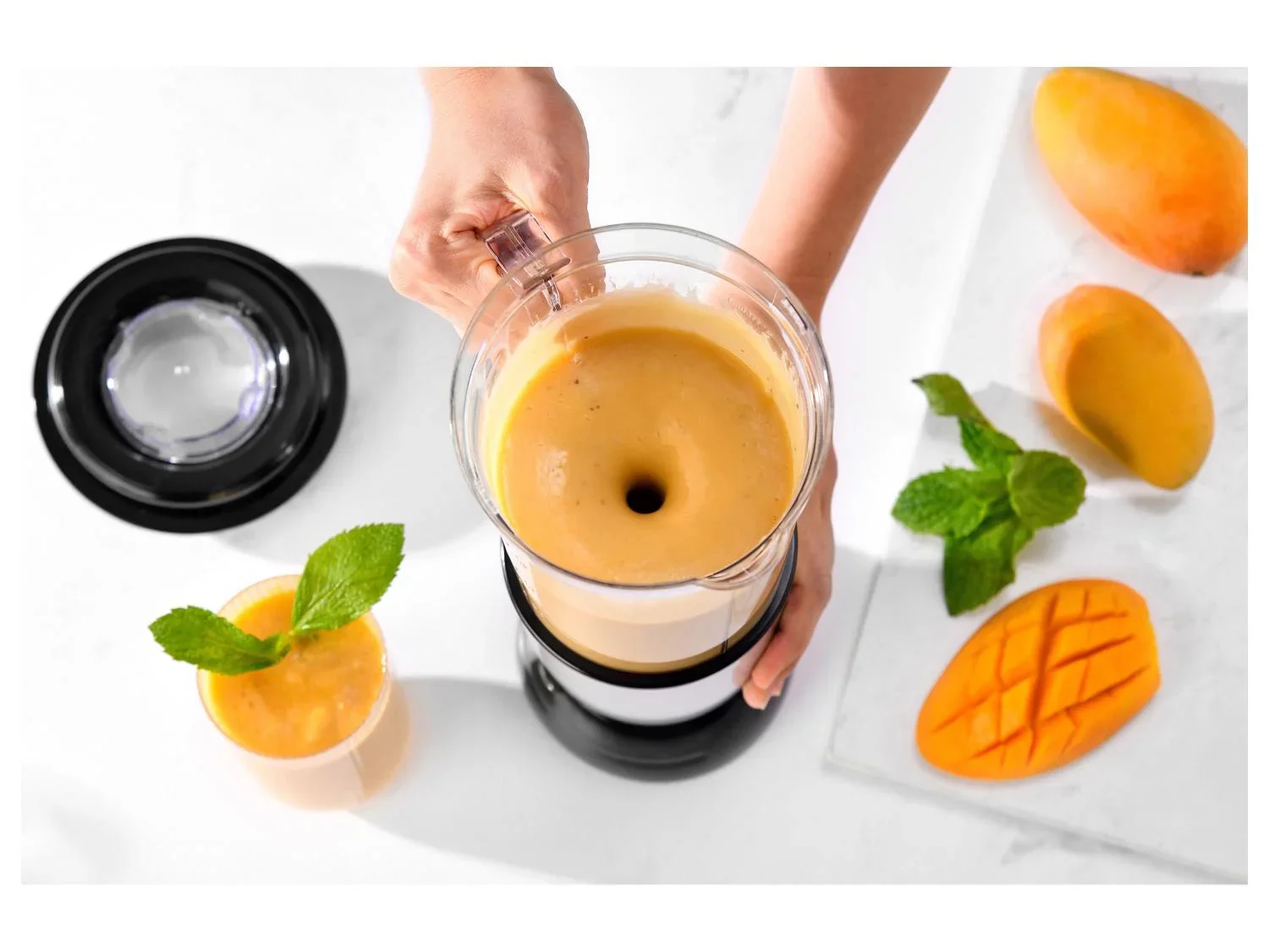 Bergner Blender  smoothie