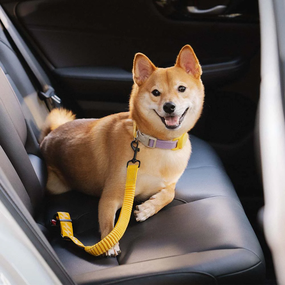 Car Seat Belt Buffer Adjustable Cool Dog Accessories
