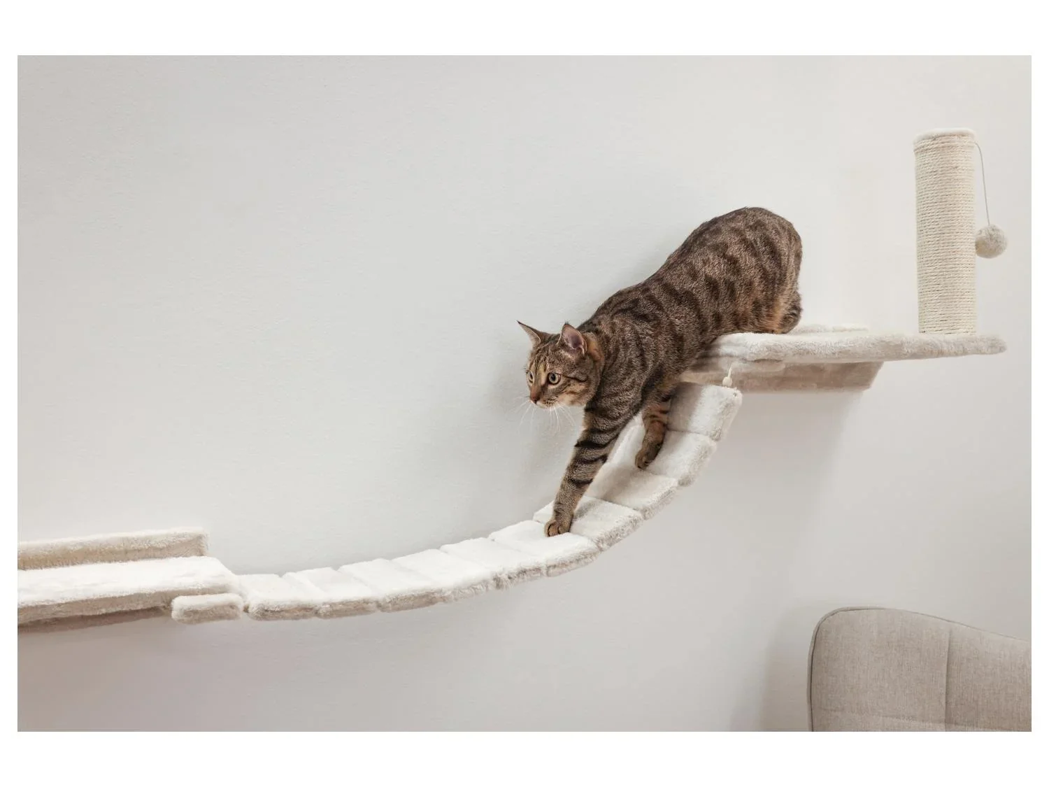 KERBL Mur d'escalade pour chat