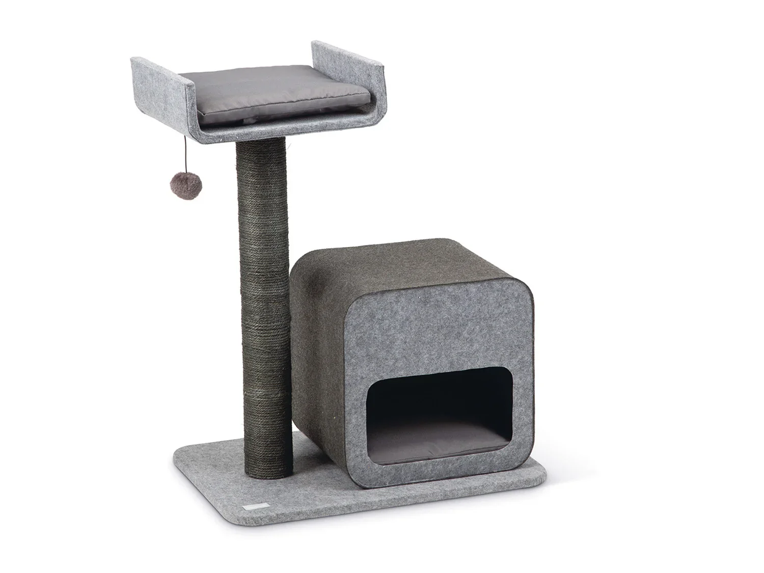 Karlie Arbre  chat, gris